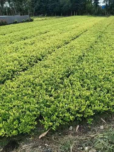 室内健身怎么运动好